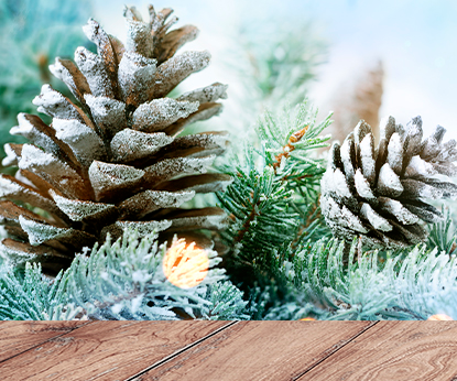 I miracoli cominciano: in occasione delle imminenti feste natalizie dalla parte della Siberian Wellness vi auguriamo Buon Natale e Buon Anno!