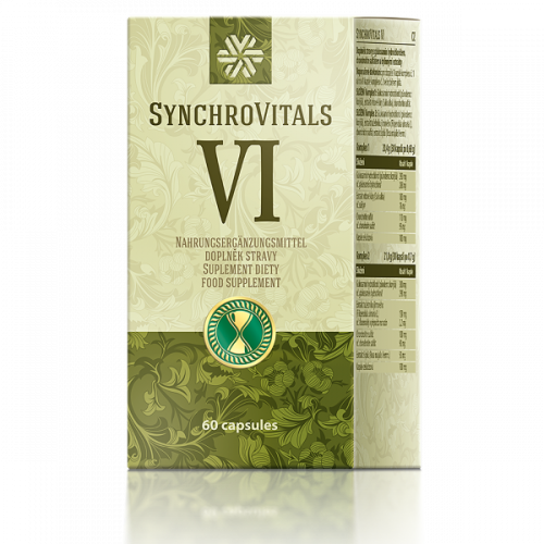 Food Supplement Synchrovitals VI, 60 capsules 500065